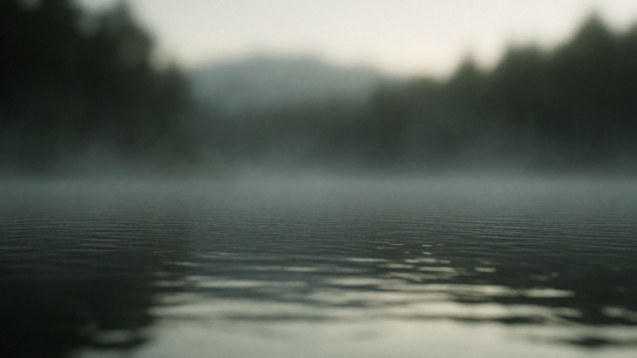 Naturkulisse „See im Nebel“